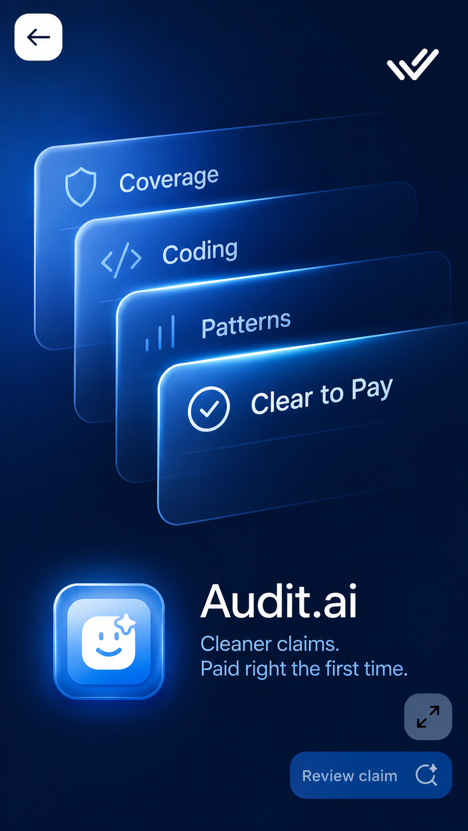 Audit.ai visualization